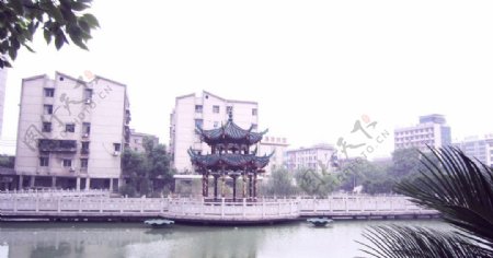 湘潭市一中教学楼图片
