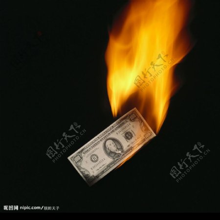 燃烧的钱币图片