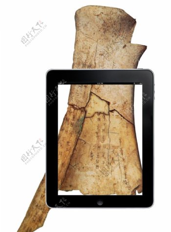 iPad和甲骨文图片