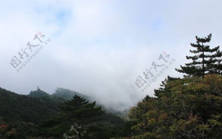 黄山风光图片