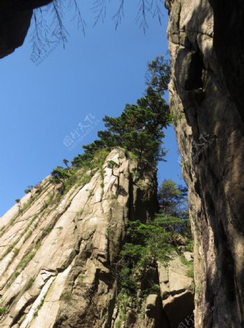 黄山风光图片