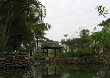 海南省绿色小区琼海碧海苑实景图图片