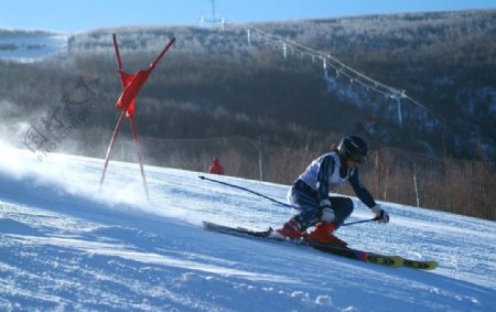 竞技滑雪图片