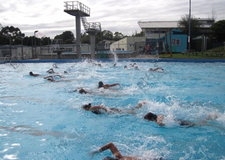 游泳池里自由泳比赛图片