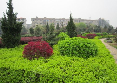 绿化带风景图片