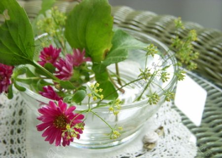 菊花和玻璃杯图片