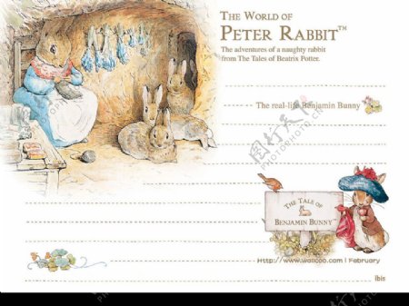 彼得兔的童话图片