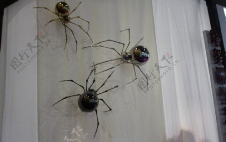 雕刻蜘蛛图片
