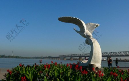 哈尔滨城市天鹅雕塑图片