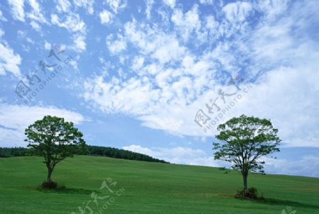 田野高精度云图片