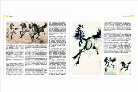 中国画画册图片