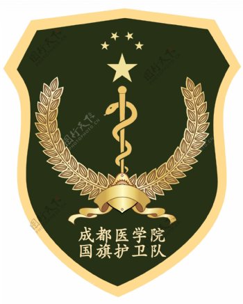 成都医学院国旗护卫队队徽图片