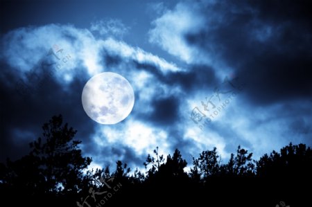 神秘圆月夜图片