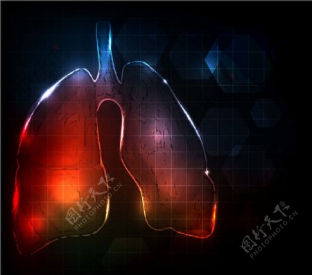 肺部图片