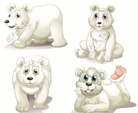 北极熊小熊熊图片