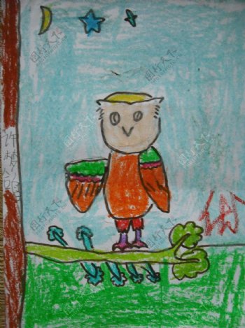 儿童蜡笔画猫头鹰图片