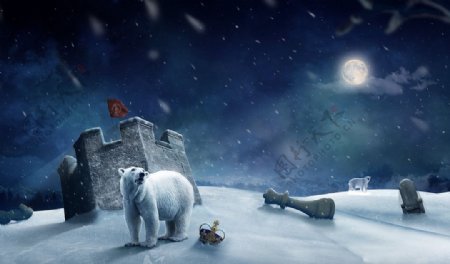 北极熊北极夜景图片