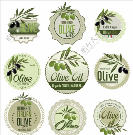 橄榄油标签logo图片