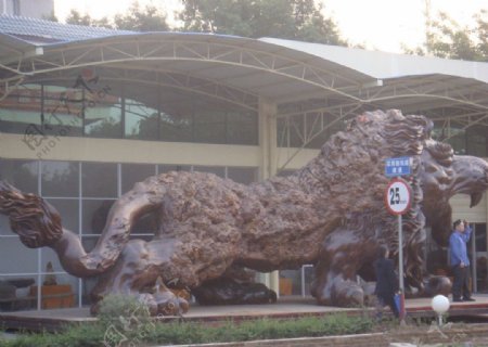 广西木雕狮子图片