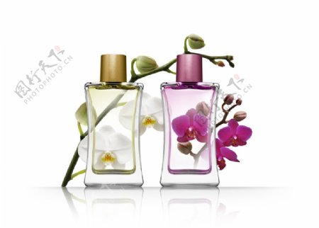 香水和花朵图片