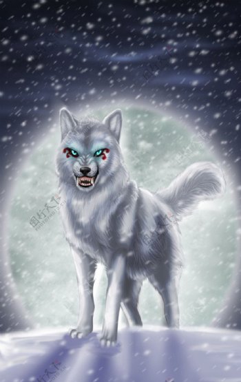 雪地上的狼图片