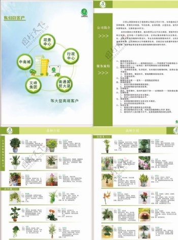 绿植宣传册图片