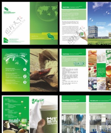 绿色册子设计图片
