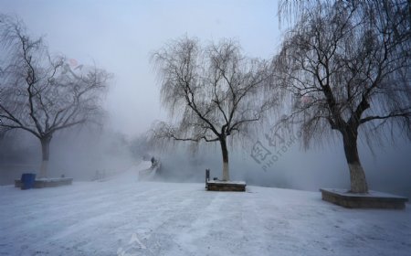 大明湖雪霁图片