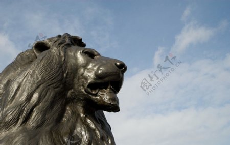 大气雕塑狮子图片