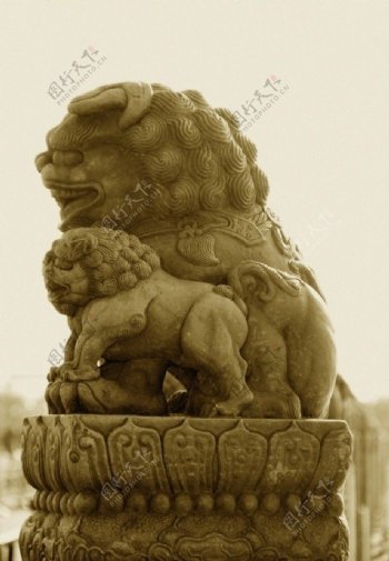 卢沟桥石狮子图片