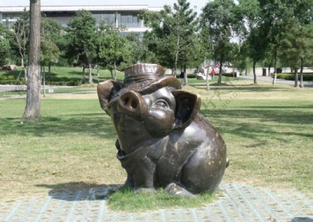 雕刻猪图片