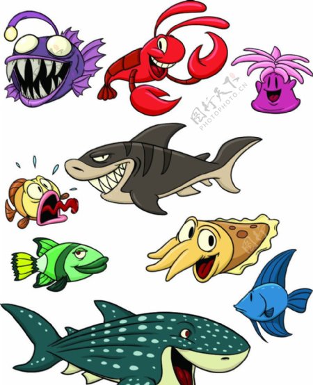 卡通鱼类图片
