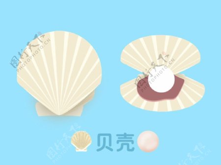 贝壳珍珠大海图片