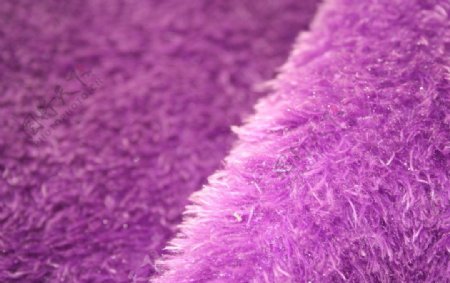 紫绒面料图片