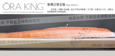三文鱼刺身海报图片