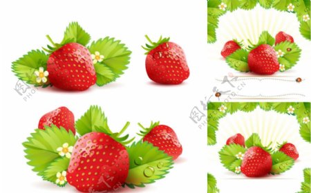 手绘草莓矢量图片