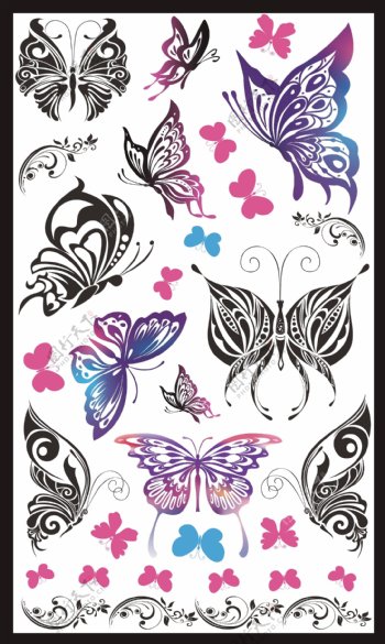 纹身印花蝴蝶图片