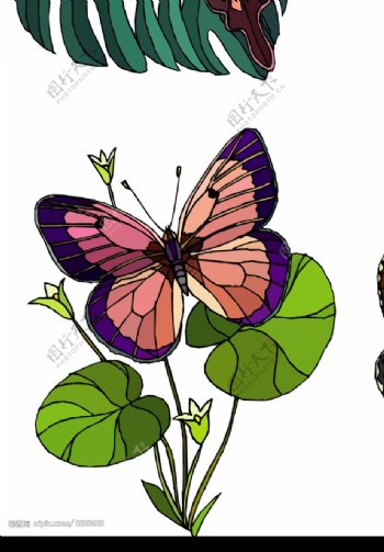 花和蝴蝶图片