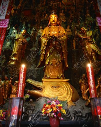 上海玉佛寺观音图片