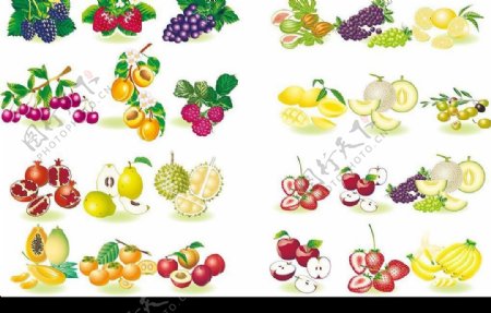 水果合集图片