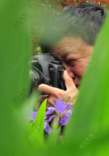 藏在丛林中的摄影者图片