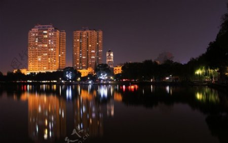 绣湖夜景图片