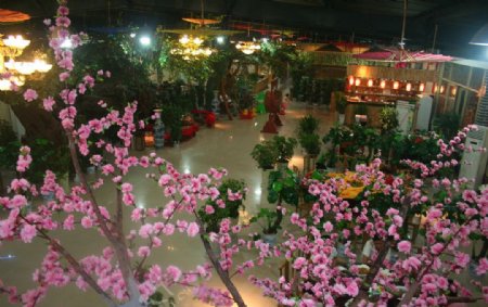 生态园酒店图片