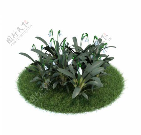 植物模型下载植物图片