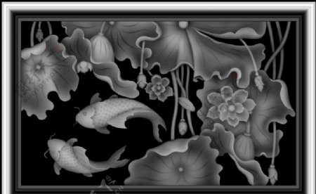 鲤鱼荷花池灰度图图片