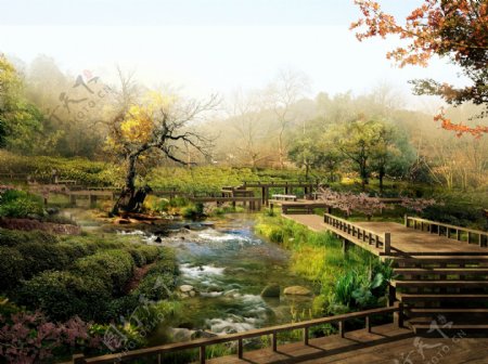茶园景观设计图片