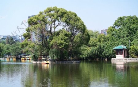 翠湖公园一角图片