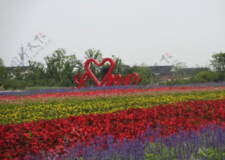 周浦花海旅游景点图片