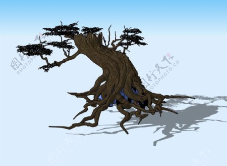 古树3D模型图片