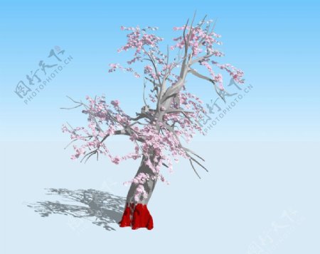 老桃树3D模型图片